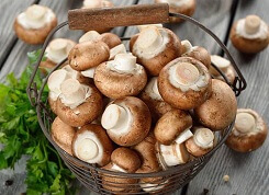 Nấm sạch đã có chỗ đứng trên thị trường Việt