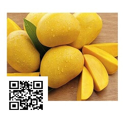 Cach nhan biet xoai da bi ngam hoa chat