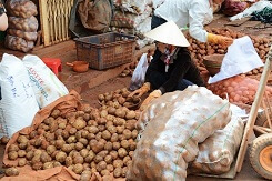 Nong san Trung Quoc song dua thuong hieu Viet