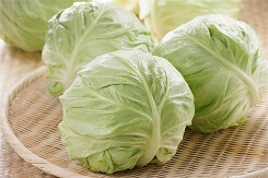 Cách phân biệt bắp cải Trung Quốc đơn giản cho bà nội trợ 