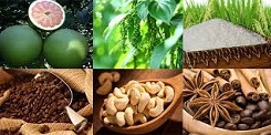 Chiến lược mới cho ngành nông sản