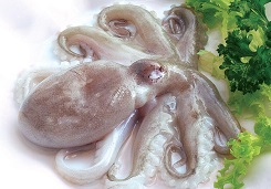 Cach phan biet bach tuoc da ngam hoa chat va bach tuoc tuoi