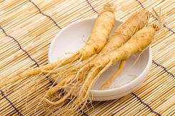 Hanh trinh tim kiem nhan sam that cuc gian nan 