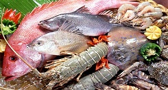 Chất chứa nỗi lo của người tiêu dùng về hải sản ngâm hóa chất