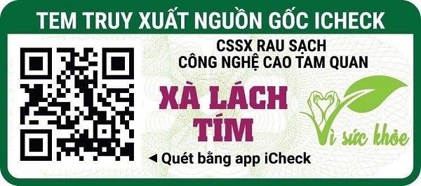 tem-truy-xuat-nguon-goc-iCheck