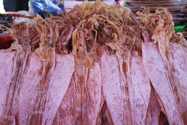 Cá mực giả Cá mực giả