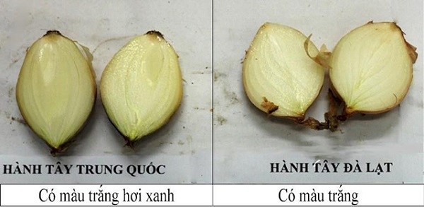 nhan-biet-hanh-tay-Trung-Quoc