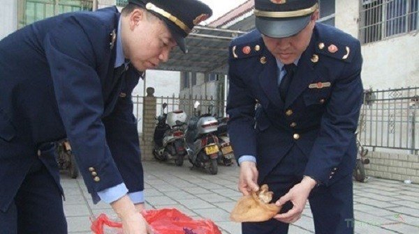 Cơ quan chức năng bắt giữ tai heo giả