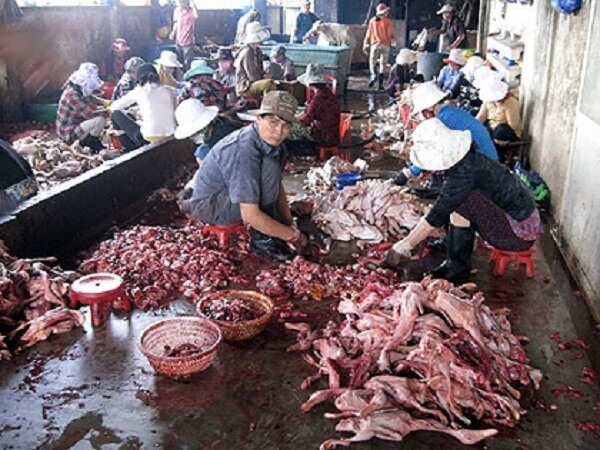 Thuc-pham-ban-lan-tran-moi-ngoc-ngach Thuc-pham-ban-lan-tran-moi-ngoc-ngach