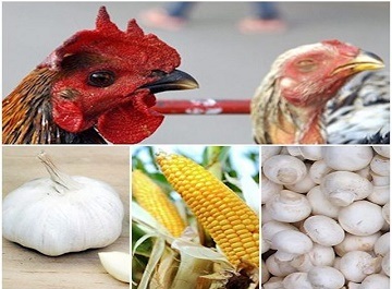 Top 7 loại thực phẩm Trung Quốc người dùng nên tránh xa