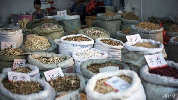 Thuốc bắc giả nhái