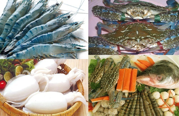 Quy định nhà nước về việc truy xuất nguồn gốc sản phẩm thủy sản
