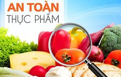 Truy xuat nguon goc thuc pham ngay cang pho bien