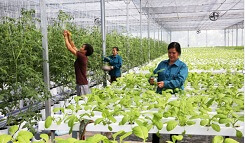 Xay dung chuoi gia tri huong di ben vung cho nong san